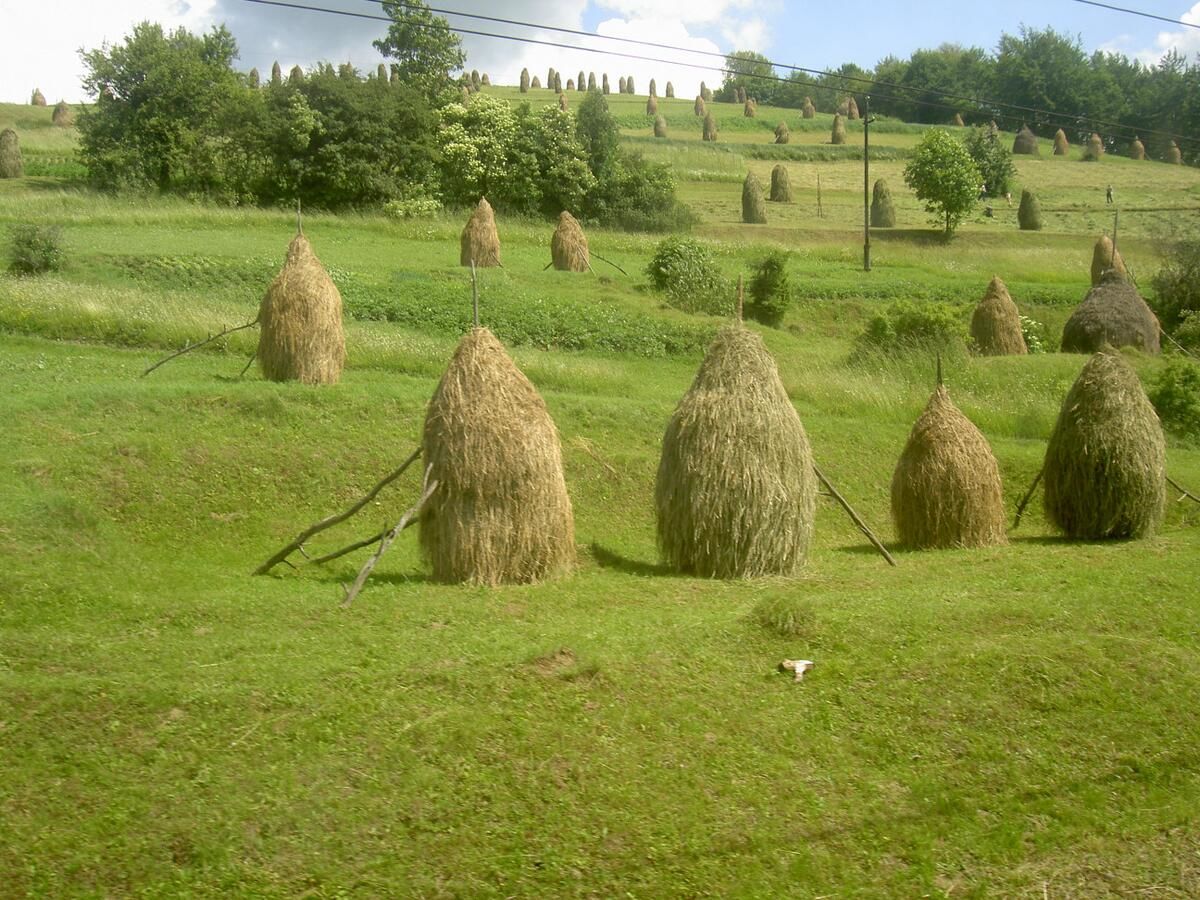 Отель Эдельвейс Verkhne-Studeny-31